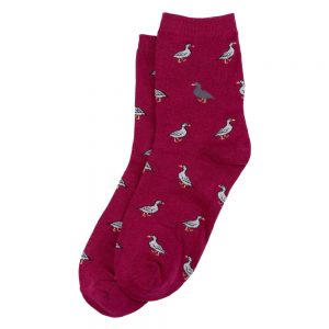 Socks Duck Made With Cotton & Spandex by JOE COOL